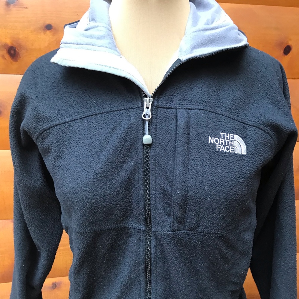 The North Face Windwall fleece Jacket